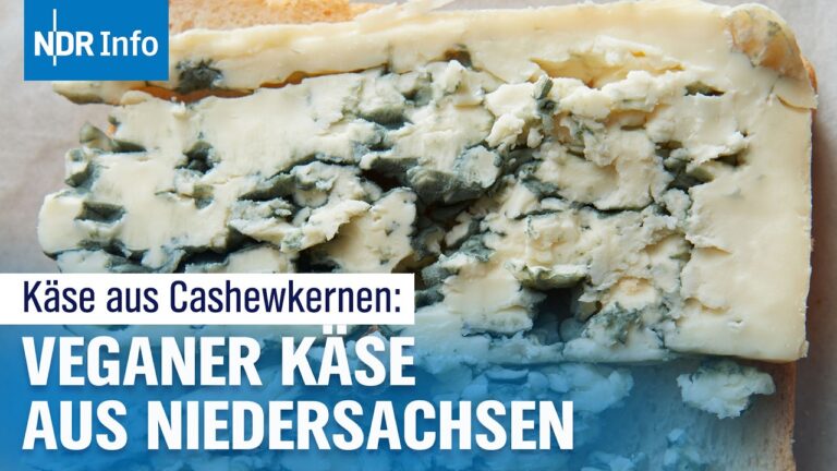 Saisonale Grillaktionen und Angebote im Newsletter